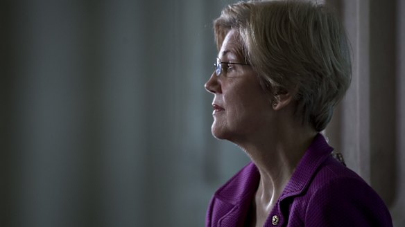 Senator Elizabeth Warren, a Democrat from Massachusetts.