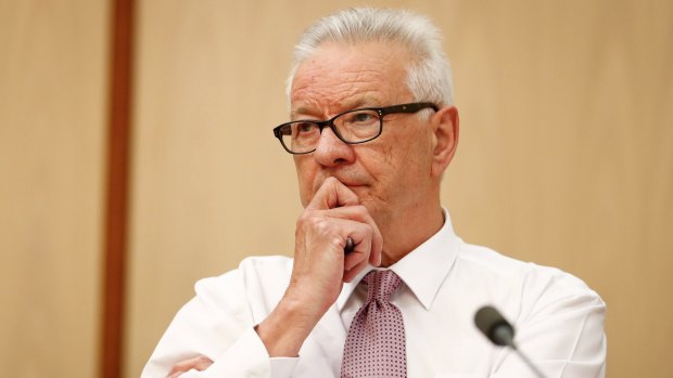 Labor senator Doug Cameron asked Fair Work Ombudsman Natalie James whether she had asked her media director if he was the source of the leak.
