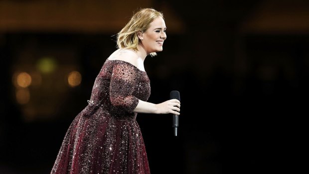 Adele was the victim of a power outage during her Adelaide show, allegedly caused by a plug being pulled out.