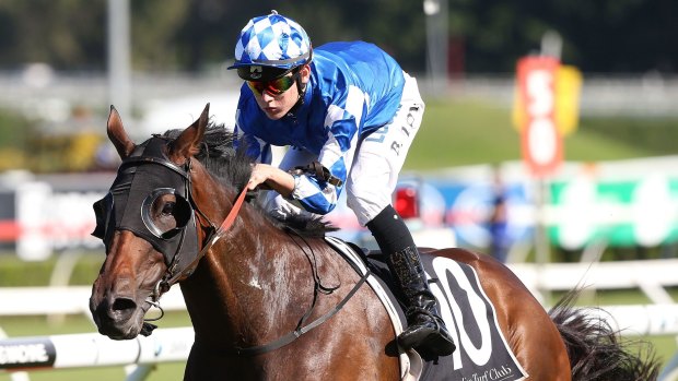 Worst to first: Brodie Loy steers Major Major to a remarkable win at Randwick on Saturday.