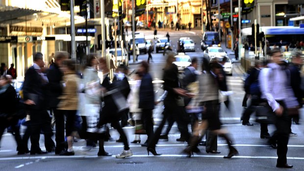 Sydney's professional ranks have grown by a third in the past decade, the 2016 census shows.