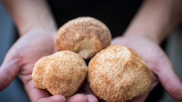 Tan suggests soaking these monkey head mushrooms before cooking with broth, chicken or pork, ginger and soy.