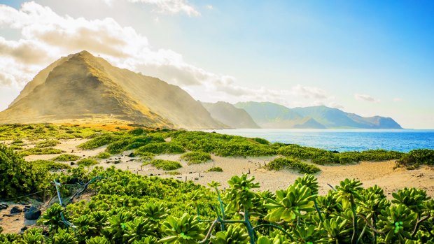 Kaena Point at sunrise.