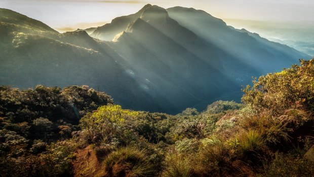 Horton Plains in Sri Lanka provided writer Elspeth Callender with her most memorable travel moment this year.