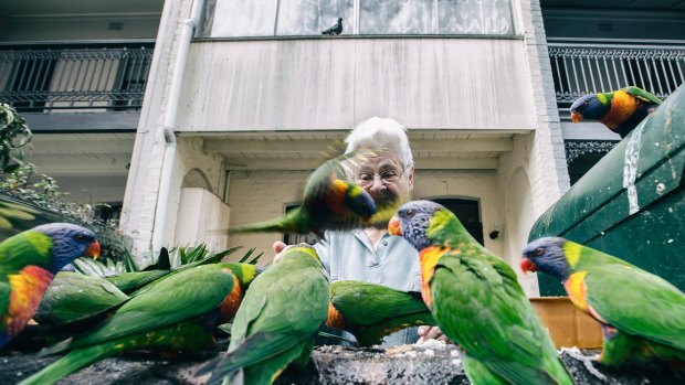 Feeding time in Ultimo is a daily ritual for this lady and the flock of rainbow lorrikeets.