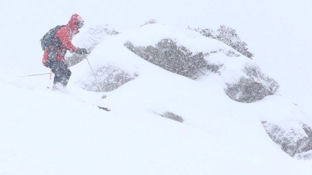 An avalanche in Austria has killed up to five people.