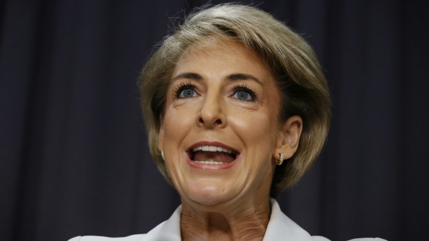 Employment Minister Michaelia Cash has backed the work for the dole program. 