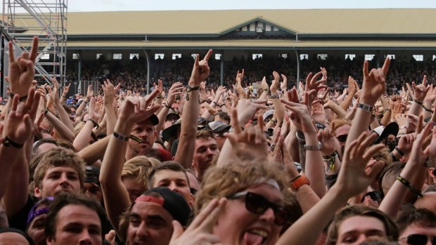 Festival fans (Photo by Paul Rovere/Fairfax Media)