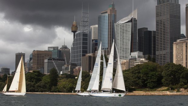 Vintage crop: Three of the oldest yachts to compete in this year's Sydney to Hobart - Dorade, Kialoa II and Eve - sail past the Sydney Botanical Gardens.