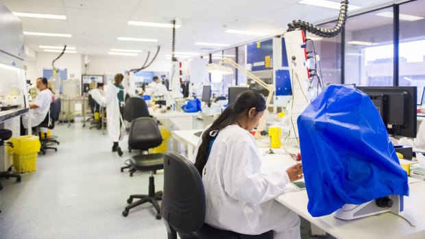Workers in a Pathology laboratory at The Canberra Hospital. 
