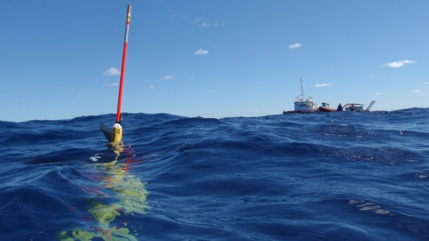 Hard to fathom: CSIRO executives are being pressed to justify their deep cuts to climate science.