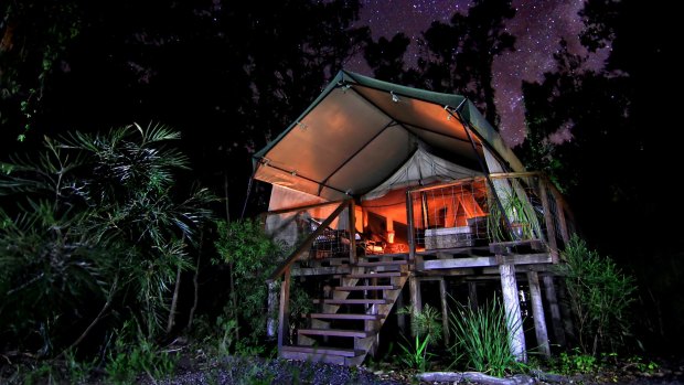 Paperbark Camp "tent' at night.