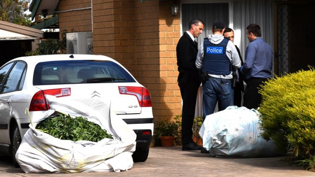 Police inspect bags, which were removed from the cannabis crop house.