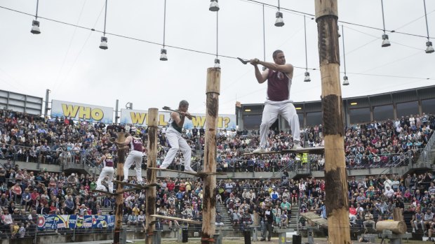 The tree-felling competition in 2015.