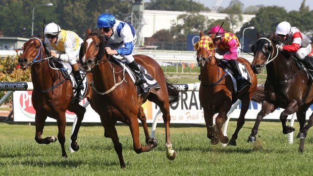 Shattered: Blake Shinn and Atmospherical take victory at Rosehill on Saturday, but Shinn's delight was short-lived.
