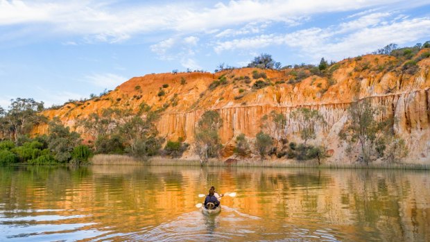 Canoeing on the Murray River, South Australia. 