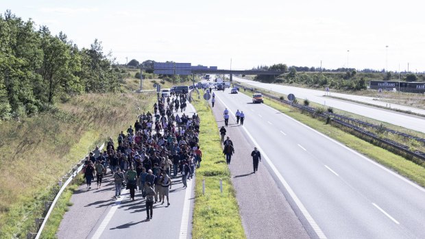 Hundreds of refugees are escorted by Danish police on a highway in southern Denmark.