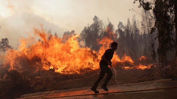 A man joins firefighters battling a forest fire in central Portugal last month.