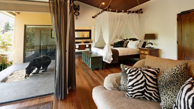 Rare view: Guest accommodation at the Jamala Wildlife Lodge.