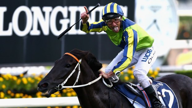 Day out: Damien Oliver guides Lucia Valentina to victory.
