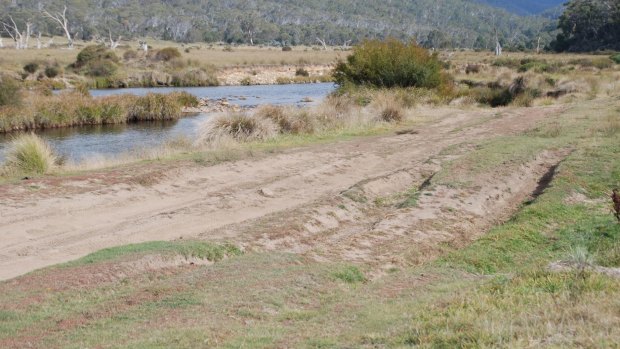 Four-wheel-drive tracks near the banks of the Eucumbene River at a popular trout fishing spot.