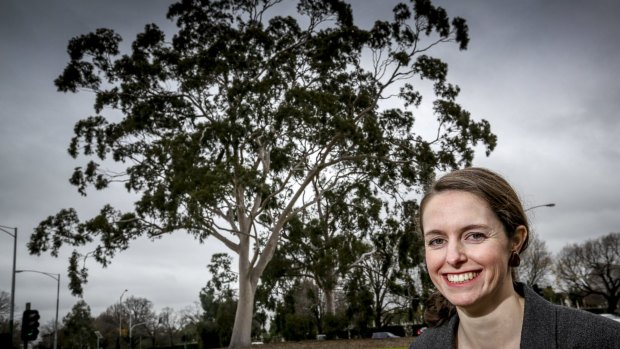 The National Trust's Anna Foley in front of lemon-scented gums in Carlton. 