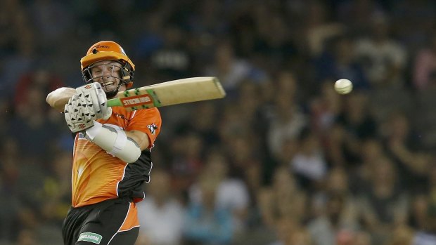 Michael Klinger of the Perth Scorchers hits a boudary on Thursday night.