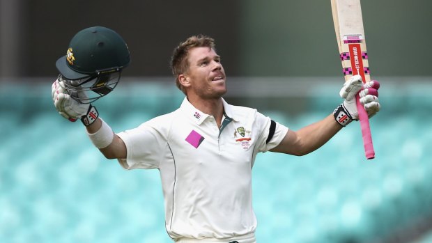 Dunce's cap to Baggy Green: It's a good thing David Warner could play cricket.