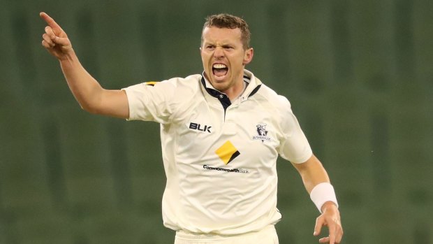 Despite seemingly competing for the third fast bowling spot with Peter Siddle (pictured), Bird says "hopefully Sidds does get a call-up."