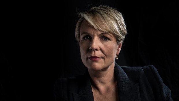 Tanya Plibersek says the young people who featured in the Four Corners report have been failed by the political class.