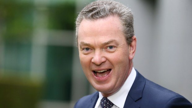 Christopher Pyne drew titters recently when his account 'liked' a sexually explicit video on the account 'XxxPornGay'.