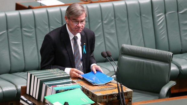 Labor MP Gary Gray speaks during the debate on the Commonwealth Electoral Amendment Bill 2016 on Wednesday. 
