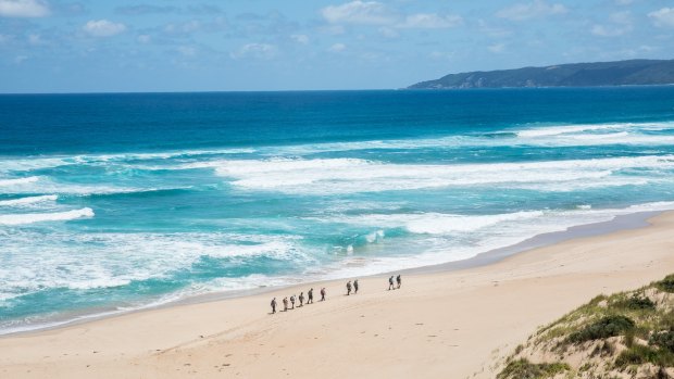 The trail on the 12 Apostles Lodge Walk includes beaches as well as bush.