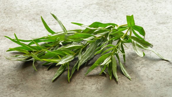 With a flavour that sits somewhere between anise and dill, fresh tarragon is a true taste of spring and summer.