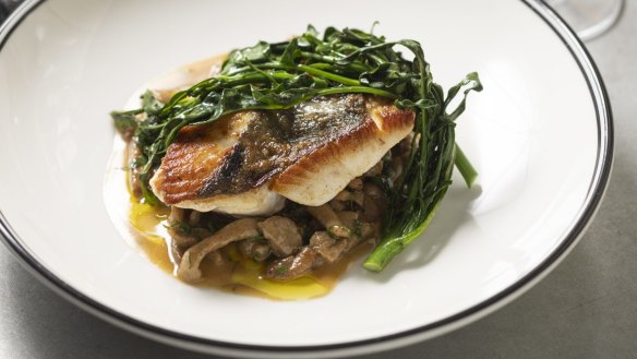 John Dory fillets with spaetzle, shellfish butter and cime di rapa.