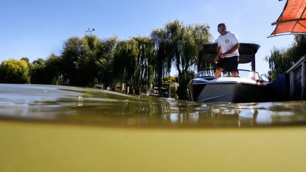 People have been told to limit exposure to Lake Mulwala, which has an outbreak of blue green algae.