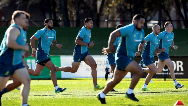 Pushing through: Wallabies were taken to their limits throughout a Newcastle training camp.