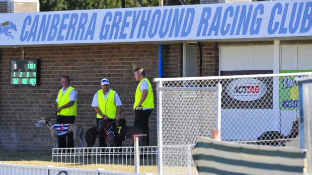 The Canberra Greyhound Racing Club took a series of options to the government to keep the industry alive.