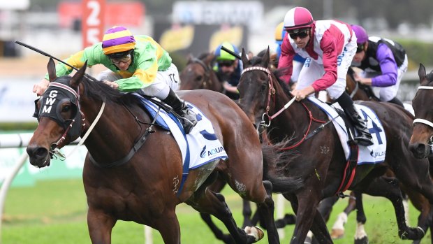 Perfect rating: Tim Clark rides Classic Uniform to win the Craven Plate.