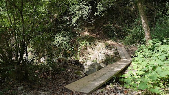 The tracks weave through the mountains.