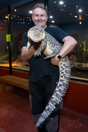 Owner Peter Childs with the first saltwater crocodile 'Charlie' at his new home at the Canberra Reptile Zoo.