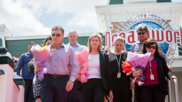 Dreamworld chief executive Craig Davidson will work with Inspector Mike McKay, who was appointed by Ardent Leisure boss Deborah Thomas.