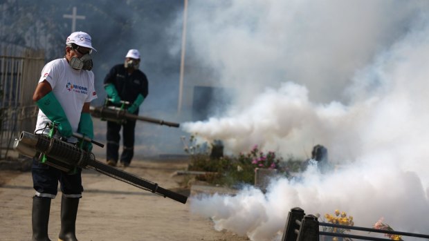 Health workers fumigate to prevent the spread of viruses at El Angel cemetery, in Lima, Peru.