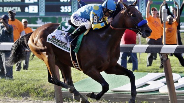 In demand: American Pharoah will command top fees at stud.