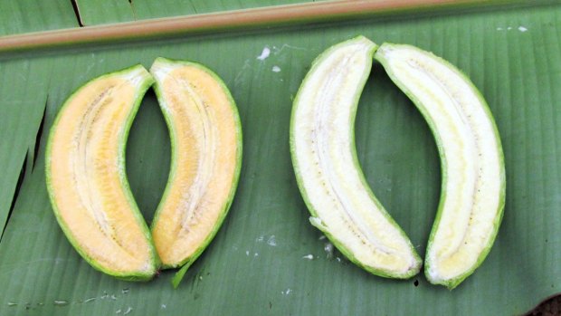 The added pro-vitamin A gives the bananas a golden colour.