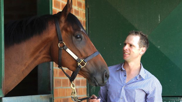 Canberra trainer Mattew Dale has four races in mind for Fell Swoop in Brisbane.