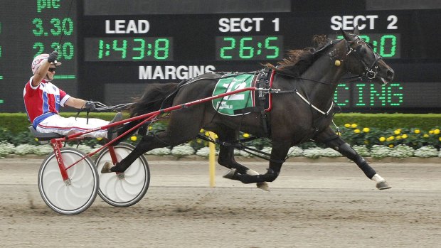 Firming: Miracle Mile favourite Beautide takes out the Inter Dominion in March.