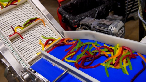 Snakes head down a conveyor belt at Allen's Lollies factory in Broadford.