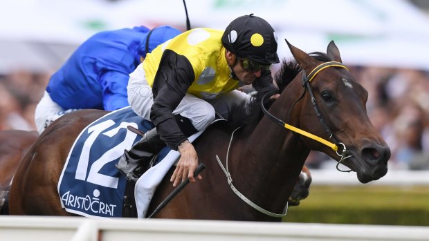 What if: In Her Time and Corey Brown win the Sydney Stakes.