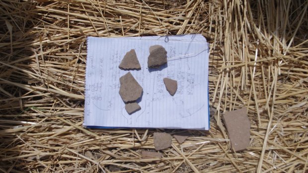 Pottery fragments collected from Peshdar-36, believed to be the site of an important Median settlement - the amount of grit in the clay indicates the site dates from the Median empire.